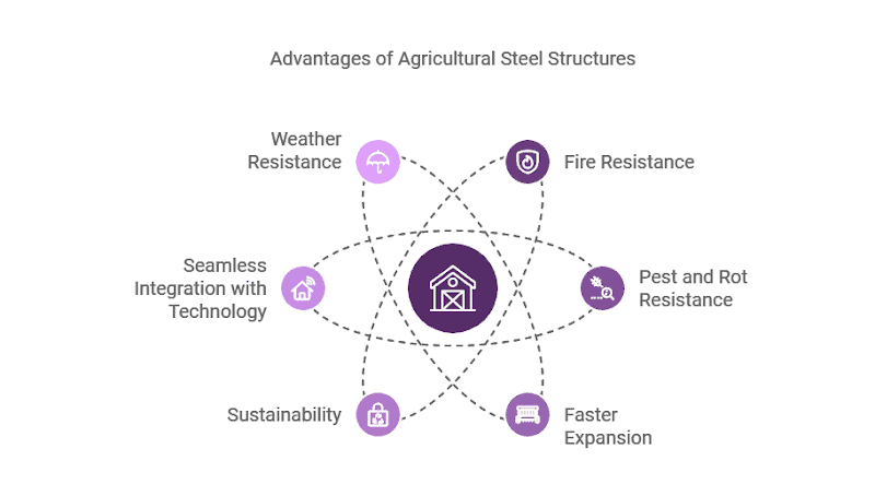 Infographic titled "Advantages of Agricultural Steel Structures" shows benefits like weather resistance, fire resistance, pest and rot resistance, seamless tech integration, sustainability, and faster expansion.