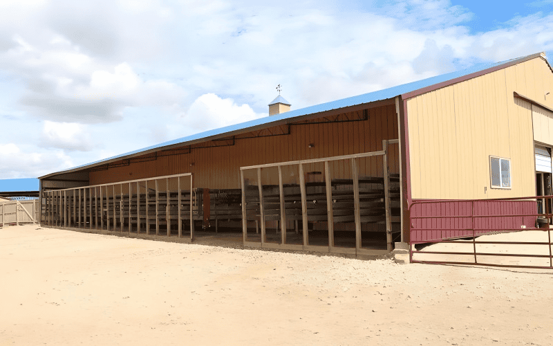 A long cow shelter with a blue roof and yellow walls, having wooden railings in front, located on a sandy ground with a partly cloudy sky.