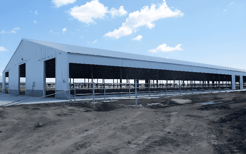 A large white cow shelter with multiple open bays and a fenced area in front, on a dirt ground under a blue sky with clouds.