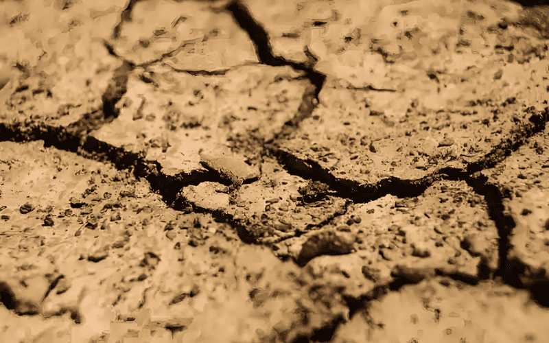 cracked ground surface