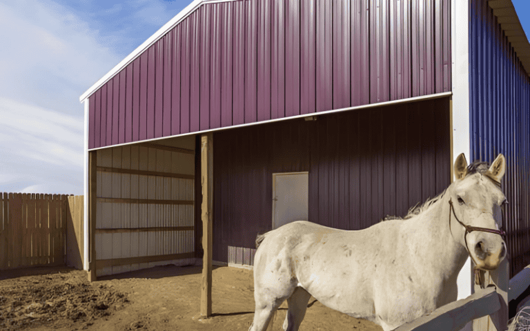 Cómo construir un establo para caballos: una guía práctica para lograr ...