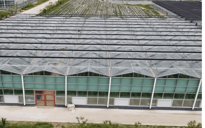 A large greenhouse with a glass and metal frame, seen from above with crops growing around it.