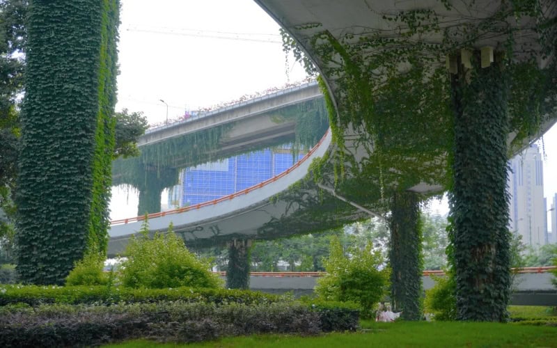 Steel flyover with lush green ivy covering its pillars and underside, situated in an urban area with buildings in the background.