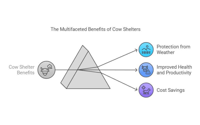 Infographic titled "The Multifaceted Benefits of Cow Shelters" shows cow shelter benefits like weather protection, health improvement, and cost savings.