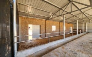 Part of a steel structure cowshed with brick partitions, metal fencing, and sandy bedding on the floor.